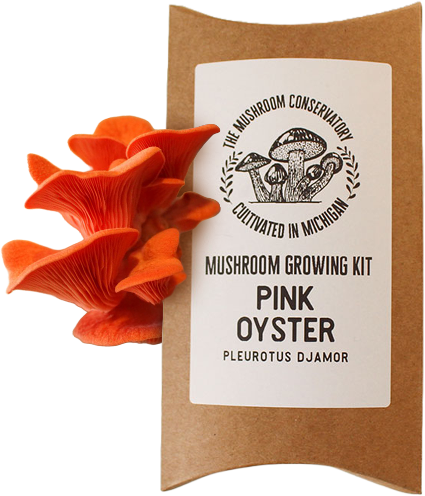 Pink Oyster Mushroom Growing Kit: As seen in Farmers Almanac