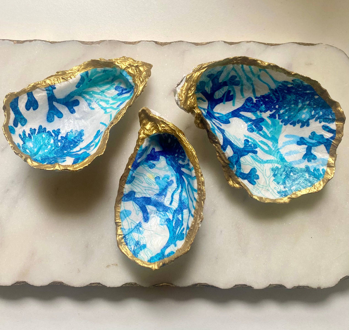 Blue Reef Oyster Shell Jewelry Dish